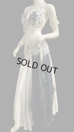 画像4: エジプトAmrオリエンタルコスチューム☆ Sweet black gold swan ☆