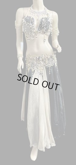 画像2: エジプトAmrオリエンタルコスチューム☆ Sweet black gold swan ☆