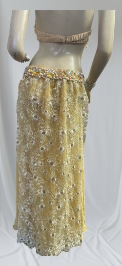 画像4: エジプトオリエンタルコスチューム☆smooth mastard  gold☆