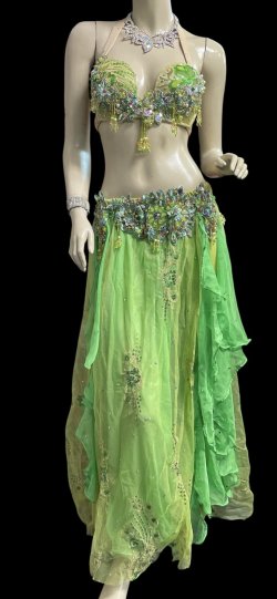 画像1: エジプトオリエンタルコスチューム ☆elegant lime green☆