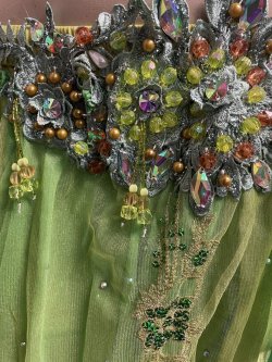 画像6: エジプトオリエンタルコスチューム ☆elegant lime green☆