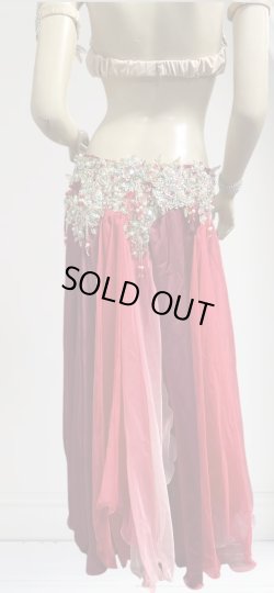 画像4: エジプトAmrオリエンタルコスチューム☆Sparkle  red passion ☆