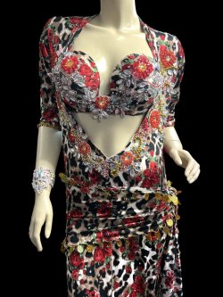 画像2: エジプト製プリントストレッチバラディドレス☆ black red rose ☆