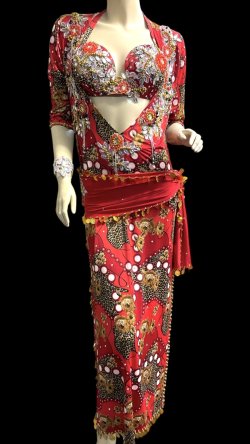 画像1: エジプト製プリントストレッチバラディドレス☆Red flower☆