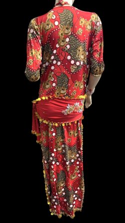 画像3: エジプト製プリントストレッチバラディドレス☆Red flower☆