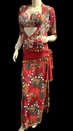 画像4: エジプト製プリントストレッチバラディドレス☆Red flower☆