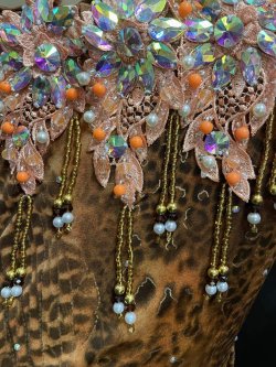 画像5: エジプトオリエンタルコスチューム☆orange animal print sunset ☆