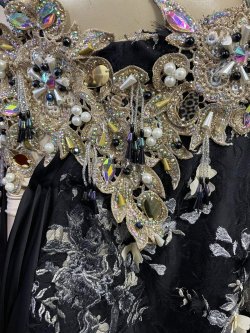 画像6: エジプトAmrオリエンタルコスチューム☆ Sweet black swan ☆