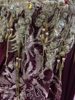 画像6: エジプトAmrオリエンタルコスチューム☆ Red wine golden dream☆