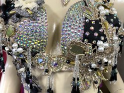 画像5: エジプトAmrオリエンタルコスチューム☆ Sweet black swan ☆