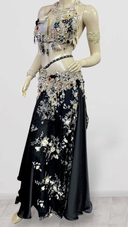 画像3: エジプトAmrオリエンタルコスチューム☆ Sweet black swan ☆