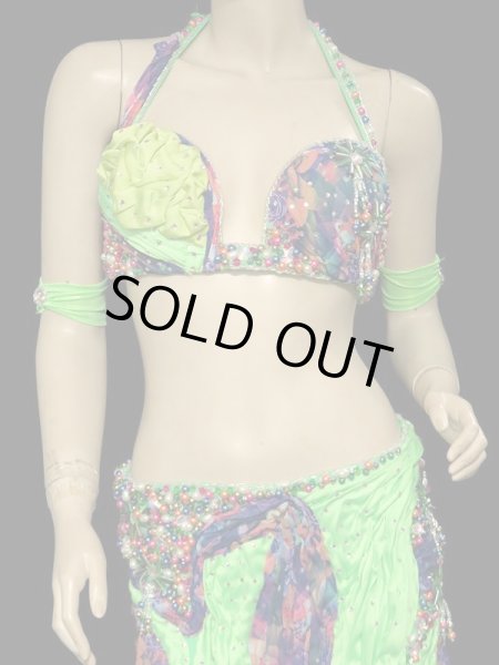 画像2: エジプトオリエンタルコスチューム☆ライムドリーミーフラワー☆ (2)