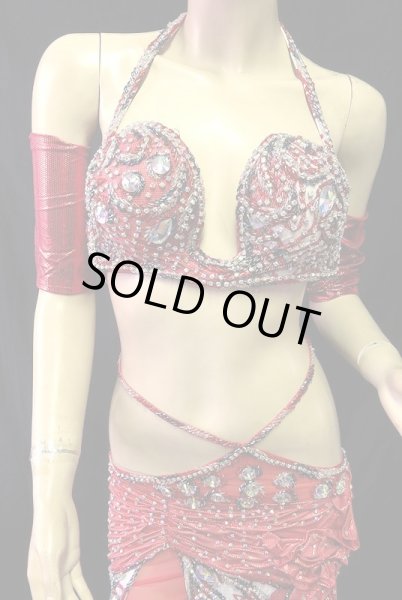 画像2: エジプトオリエンタルコスチューム☆シルバーレッドフラワー☆ (2)