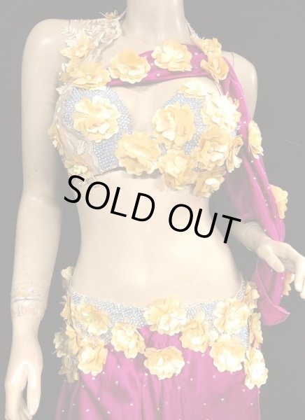 画像2: エジプトオリエンタルコスチューム☆フューシャスムースエレガント☆ (2)