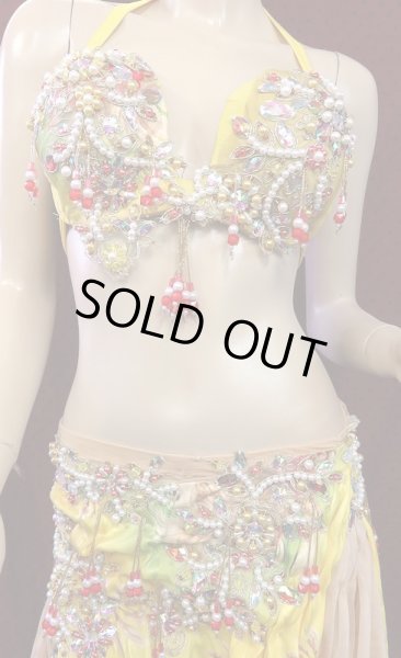 画像2: エジプトオリエンタルコスチューム☆イエローレッドローズ☆ (2)