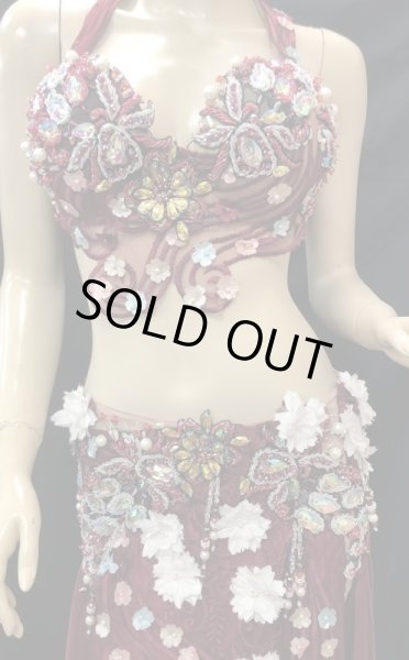 画像2: ❤ハナン/ＨＡＮＡＮ❤エジプトオリエンタルコスチューム☆Red elegant flower☆ (2)