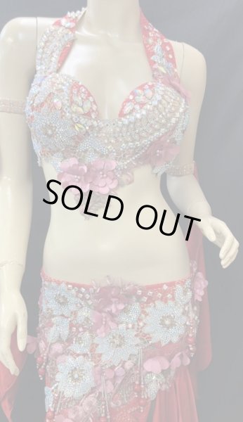 画像2: ❤ハナン/HANAN❤エジプトオリエンタルコスチューム☆Red Japonesque☆ (2)