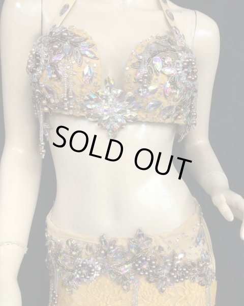 画像2: エジプトオリエンタルコスチューム☆エレガントゴールデンマスタード☆ (2)