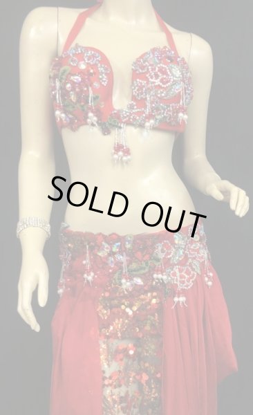 画像2: エジプトオリエンタルコスチューム☆レッドメッシュブロダリー☆ (2)