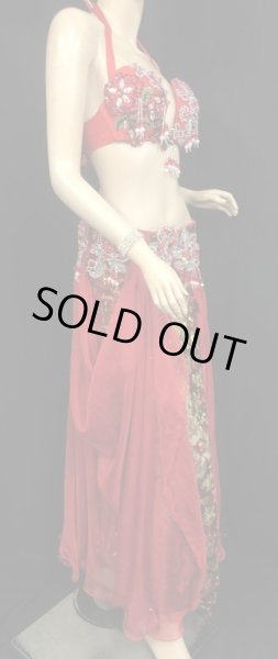 画像3: エジプトオリエンタルコスチューム☆レッドメッシュブロダリー☆ (3)