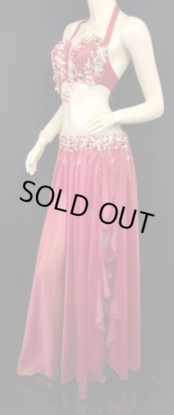 画像2: エジプトオリエンタルコスチューム☆エレガントレッドブリンク☆ (2)