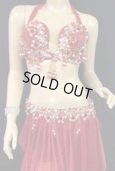 画像3: エジプトオリエンタルコスチューム☆エレガントレッドブリンク☆ (3)