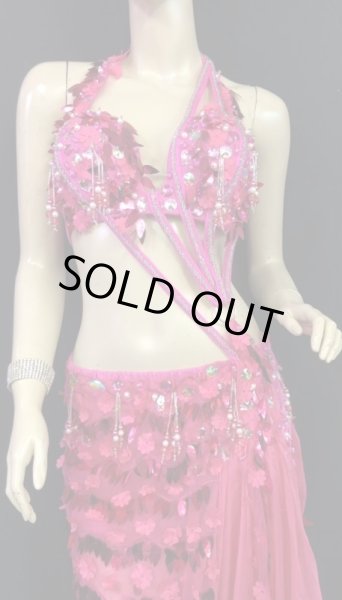 画像3: エジプトオリエンタルコスチューム☆ピンクブリリアントリーフ☆ (3)