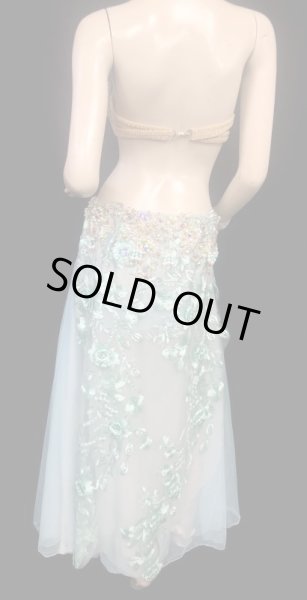 画像4: エジプトAmrオリエンタルコスチューム☆Light emerald flower ☆ (4)