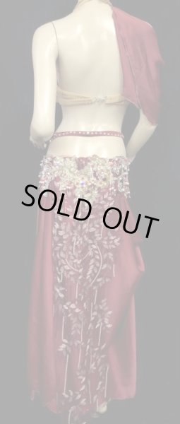 画像4: エジプトAmrオリエンタルコスチューム☆Classic red petal breeze☆ (4)