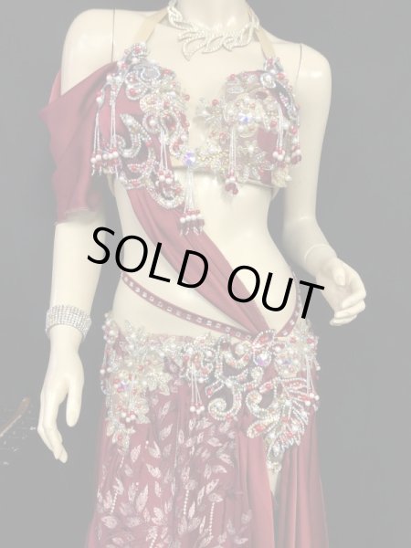 画像2: エジプトAmrオリエンタルコスチューム☆Classic red petal breeze☆ (2)