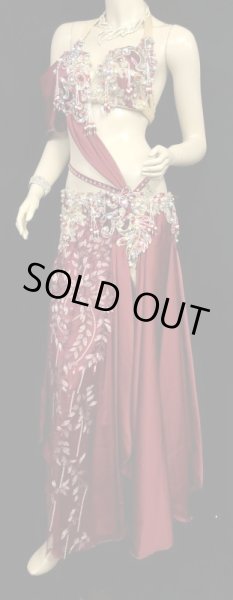 画像3: エジプトAmrオリエンタルコスチューム☆Classic red petal breeze☆ (3)