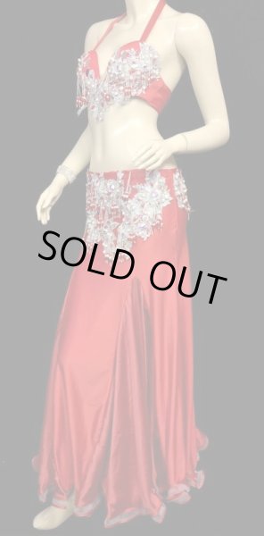 画像2: エジプトオリエンタルコスチューム☆Red nestling queen ☆ (2)