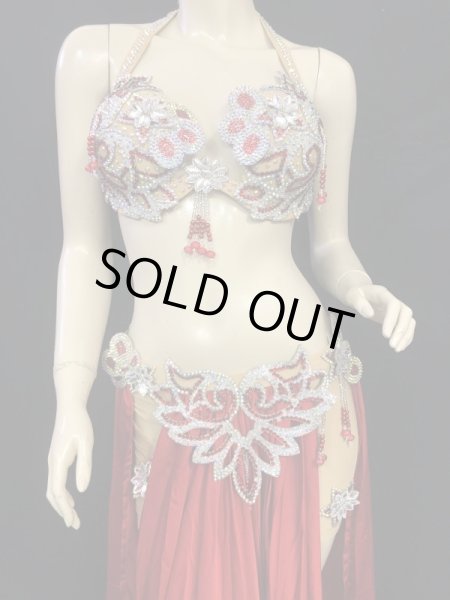 画像3: エジプトオリエンタルコスチューム☆Red satin brilliant☆ (3)