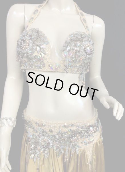 画像3: エジプトオリエンタルコスチューム☆smooth mastard gold☆ (3)