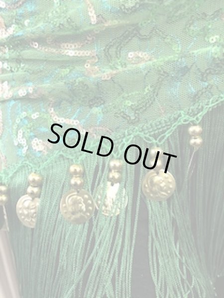 画像3: メッシュスパンコールブロダリーフリンジスカーフ☆グリーン☆ (3)