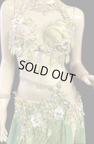 画像2: エジプトAmrオリエンタルコスチューム☆Refreshing lime green ☆ (2)