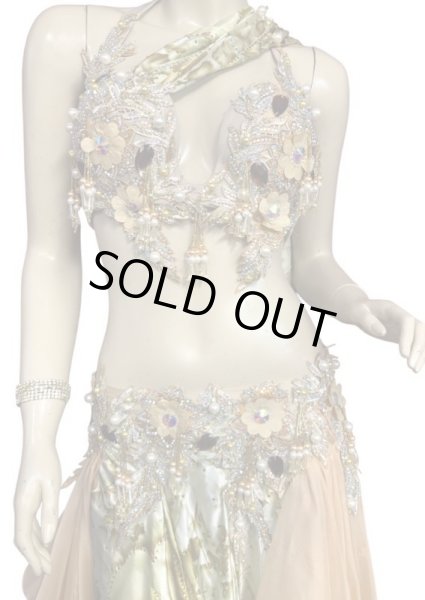 画像2: エジプトAmrオリエンタルコスチューム☆Peach gold nostalgia  ☆ (2)