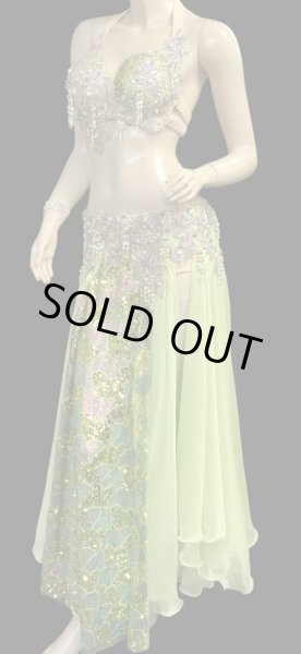 画像3: エジプトAmrオリエンタルコスチューム☆Fresh muscat basket ☆ (3)