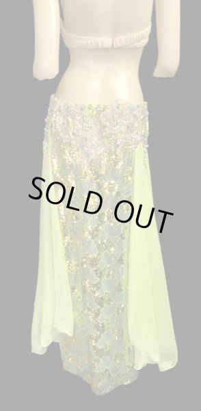 画像4: エジプトAmrオリエンタルコスチューム☆Fresh muscat basket ☆ (4)