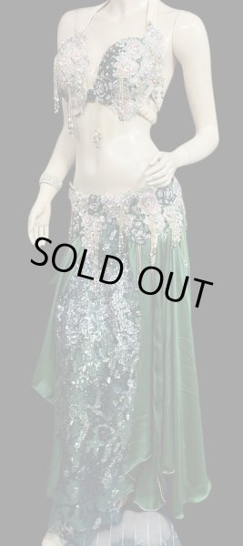 画像3: エジプトAmrオリエンタルコスチューム☆Chic deep green ☆ (3)