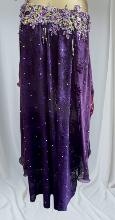 画像3: エジプトオリエンタルコスチューム☆purple lace ethnic ☆