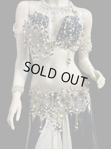 画像3: エジプトAmrオリエンタルコスチューム☆ Sweet black gold swan ☆ (3)