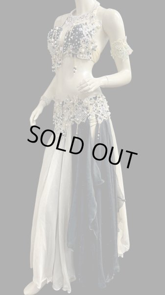 画像4: エジプトAmrオリエンタルコスチューム☆ Sweet black gold swan ☆ (4)