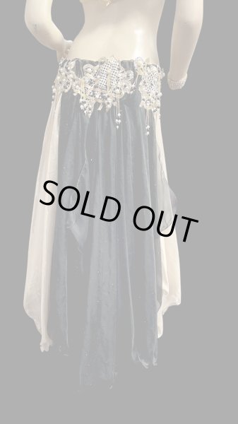 画像5: エジプトAmrオリエンタルコスチューム☆ Sweet black gold swan ☆ (5)