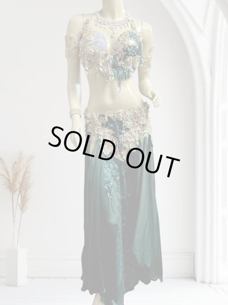 画像1: エジプトAmrオリエンタルコスチューム☆Chic deep green ☆ (1)