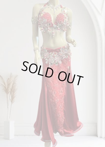 画像1: エジプトAmrオリエンタルコスチューム☆Elegant fresh red ☆ (1)