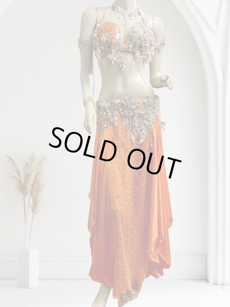 画像1: エジプトAmrオリエンタルコスチューム☆Elegant orange  coral ☆ (1)