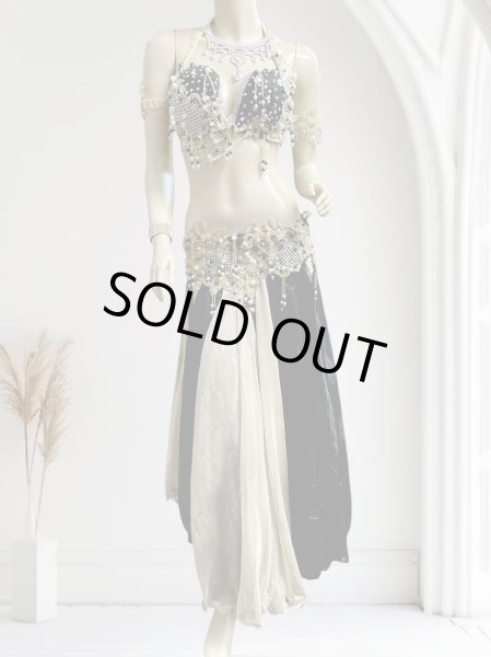 画像1: エジプトAmrオリエンタルコスチューム☆ Sweet black gold swan ☆ (1)