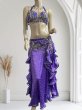 画像1: エジプトオリエンタルコスチューム☆Dark lavender satin brilliant ☆ (1)