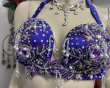 画像5: エジプトオリエンタルコスチューム☆Dark lavender satin brilliant ☆ (5)